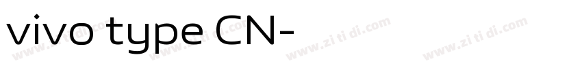 vivo type CN字体转换 vivo type CN字体转换